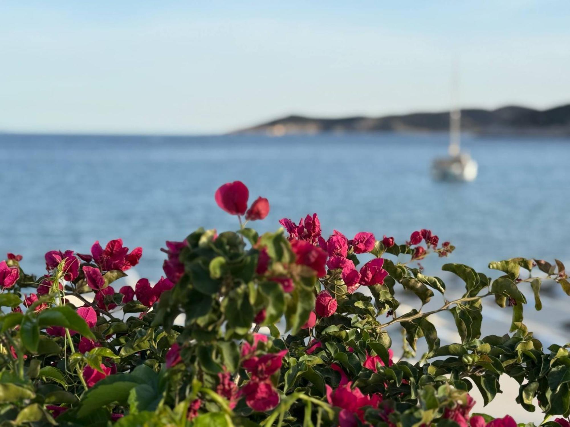 Kohylia Beach Guest House Platis Gialos  Eksteriør billede